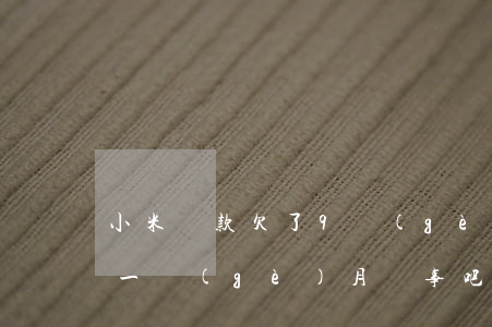 小米貸款欠了9個(gè)月(小米貸款逾期一個(gè)月沒事吧)