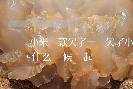 小米貸款欠了一萬(欠了小米貸款一萬一沒還,什么時候會起訴)