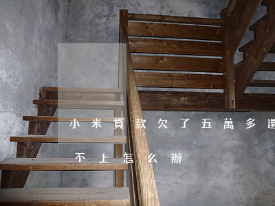 小米貸款欠了五萬多還不上(小米貸款6萬還不上怎么辦)