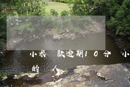 小米貸款逾期10分鐘(小米貸款逾期利息高的嚇人)