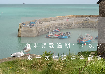 小米貸款逾期10次(小米貸款逾期多久會要求一次性還清全部貸款)