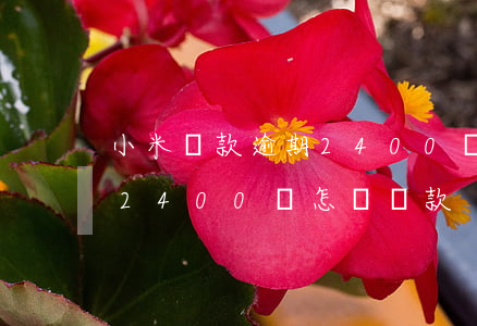 小米貸款逾期2400塊怎樣 小米貸款逾期2400塊怎樣還款