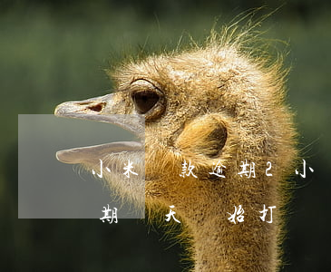 小米貸款逾期2小時(shí)(小米貸款逾期幾天開始打電話)