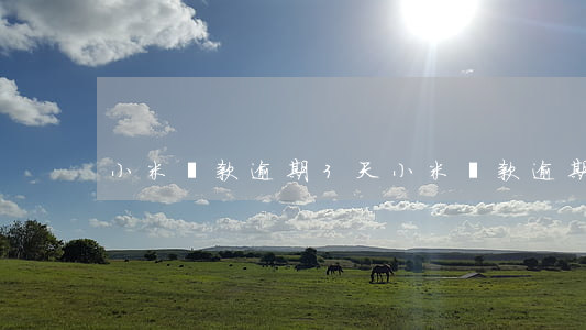 小米貸款逾期3天(小米貸款逾期3天會怎樣)