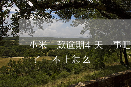 小米貸款逾期4天沒事吧(小米貸款逾期三年了還不上怎么辦)