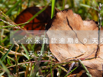 小米貸款逾期60天以上(小米貸款逾期30天以上)