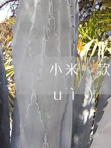 小米貸款逾期7000(小米貸款逾期會(huì)給通訊錄所有人打電話(huà)嗎)