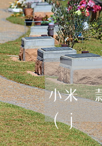 小米貸款逾期90天后(小米逾期一年親身經(jīng)歷)