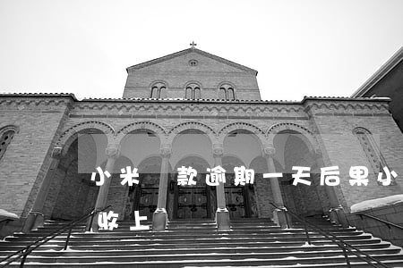 小米貸款逾期一天后果(小米貸款逾期1年催收上門)