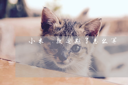 小米貸款逾期了怎么算(貸款逾期是怎么算的)