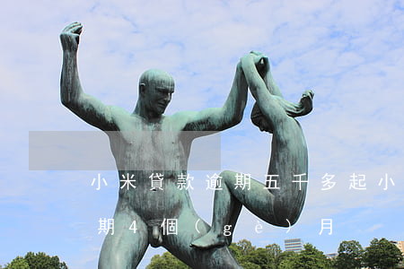 小米貸款逾期五千多起(小米貸款借了5萬逾期4個(gè)月)