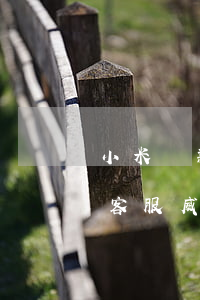 小米貸款逾期五天后果(小米貸款逾期一天被客服威脅)