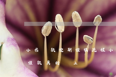 小米貸款逾期催收流程(小米貸逾期半個月款催款真的會上門嗎)