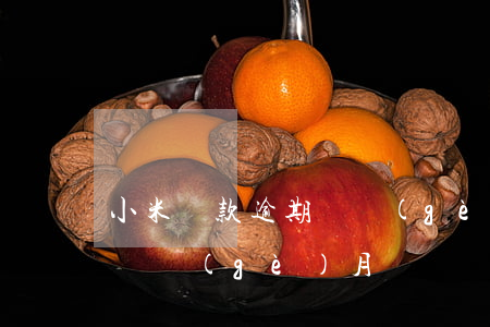 小米貸款逾期兩個(gè)月(小米貸款逾期兩個(gè)月)