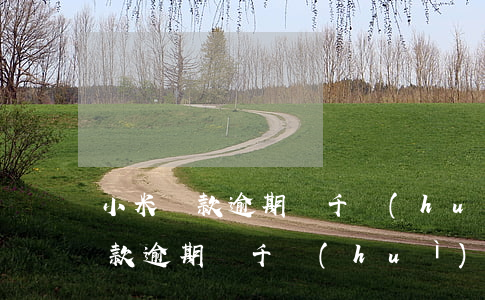 小米貸款逾期兩千會(huì)怎樣(小米貸款逾期兩千會(huì)怎樣)