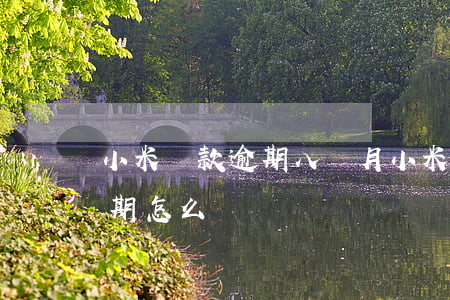 小米貸款逾期八個月(小米貸款超過90天逾期怎么辦)