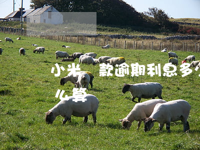 小米貸款逾期利息多少(小米貸款逾期罰息怎么算?)