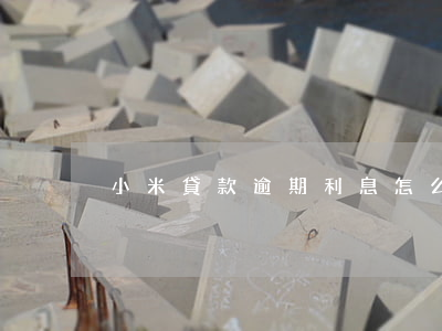 小米貸款逾期利息怎么算
