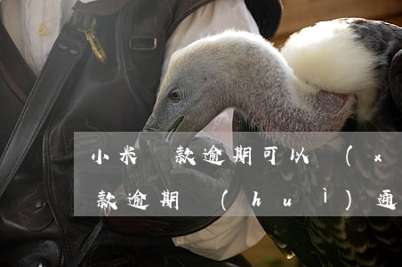 小米貸款逾期可以協(xié)商嗎(小米貸款逾期會(huì)通知村委)