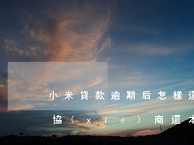 小米貸款逾期后怎樣還錢(小米貸款逾期怎么協(xié)商還本金)