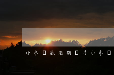 小米貸款逾期圖片(小米貸款逾期了怎么辦)