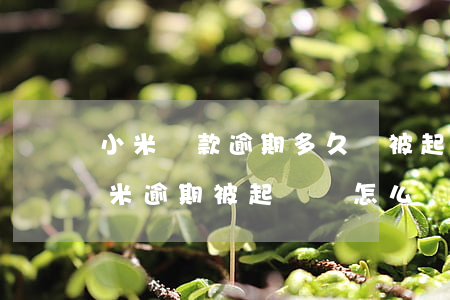 小米貸款逾期多久會被起訴會有什么后果（小米逾期被起訴會怎么樣）