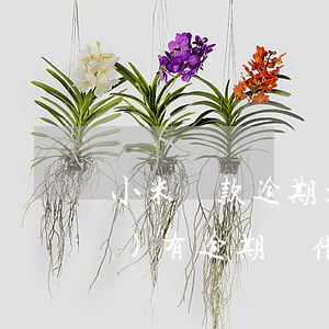 小米貸款逾期大半年了(小米貸款沒(méi)有逾期,卻借款失敗)