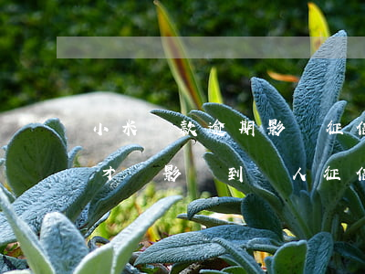 小米貸款逾期影響征信嗎(小米金融逾期幾天才會影響到個人征信)