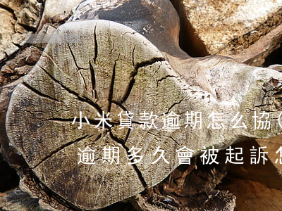 小米貸款逾期怎么協(xié)商(小米貸款逾期多久會被起訴怎么處理)