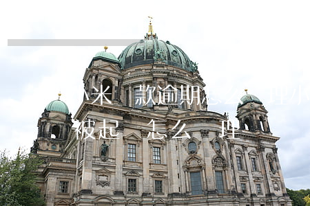小米貸款逾期怎么處理(小米貸款逾期多久會被起訴怎么處理)