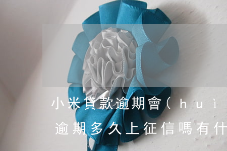 小米貸款逾期會(huì)征信嗎(小米金融逾期多久上征信嗎有什么影響)