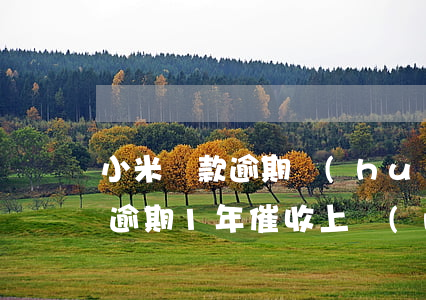 小米貸款逾期會(huì)清零嗎(小米貸款逾期1年催收上門(mén))