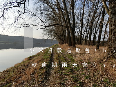 小米貸款逾期會(huì)起上征信(小米貸款逾期兩天會(huì)不會(huì)上征信)