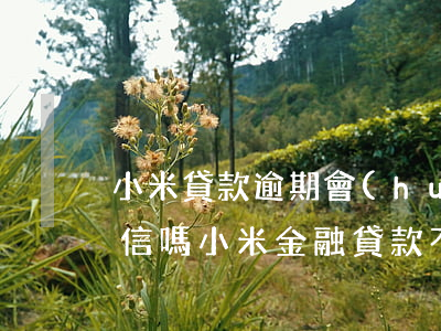 小米貸款逾期會(huì)進(jìn)征信嗎(小米金融貸款不還會(huì)上征信嗎)