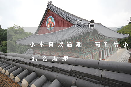 小米貸款逾期沒有額度(小米貸款逾期了一般怎么處理)