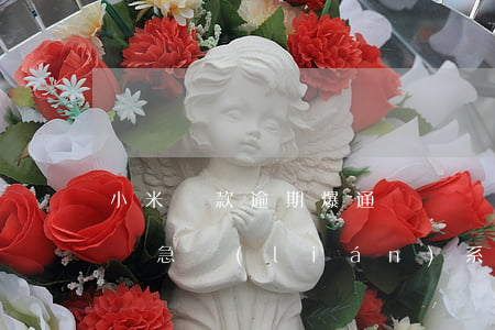 小米貸款逾期爆通訊錄嗎(小米爆通訊錄還是緊急聯(lián)系人貸款逾期)