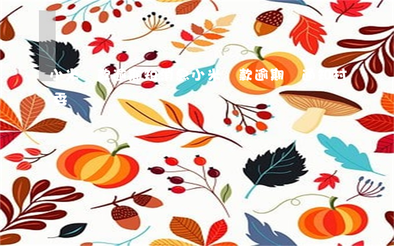 小米貸款逾期短消息(小米貸款逾期會通知村委)