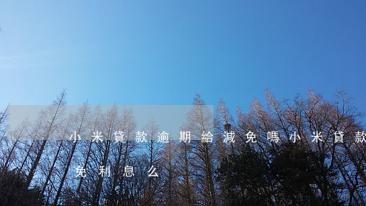 小米貸款逾期給減免嗎(小米貸款可以申請減免利息么)