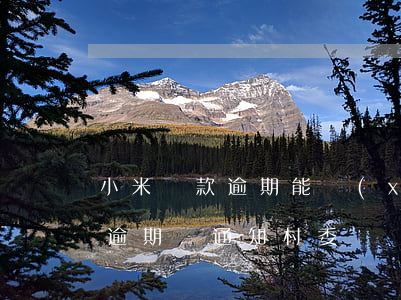 小米貸款逾期能協(xié)商嗎(小米貸款逾期會通知村委)