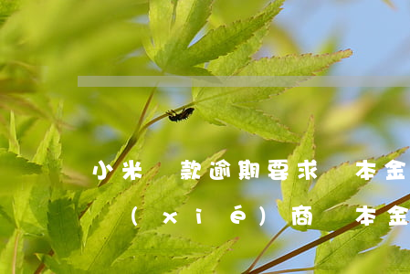 小米貸款逾期要求還本金(小米貸款逾期怎么協(xié)商還本金)