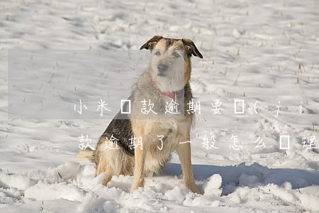 小米貸款逾期要結(jié)清合同(小米貸款逾期了一般怎么處理)