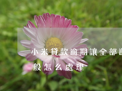 小米貸款逾期讓全部還款(小米貸款逾期了一般怎么處理)