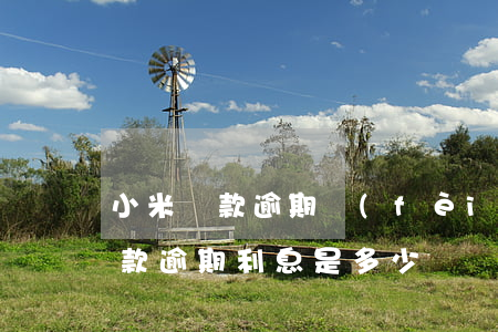 小米貸款逾期費(fèi)可以減免(小米貸款逾期利息是多少?)