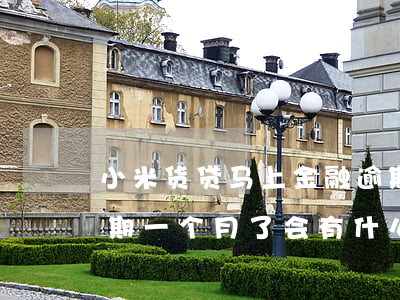 小米货贷马上金融逾期会怎么样(小米金融逾期一个月了会有什么后果?)