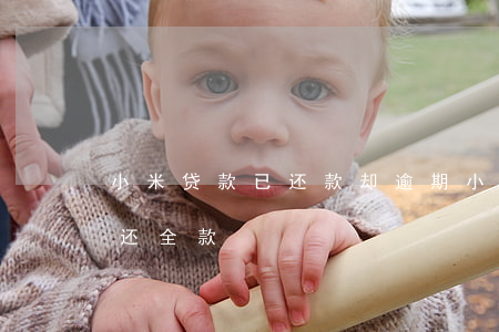 小米贷款已还款却逾期(小米贷款逾期3天说还全款)