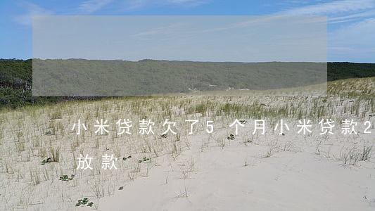 小米贷款欠了5个月(小米贷款2个小时还没放款)