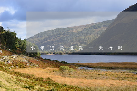 小米贷款逾期一天行吗