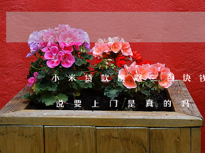 小米贷款逾期三百块钱(小米金融逾期三个月说要上门是真的吗?)
