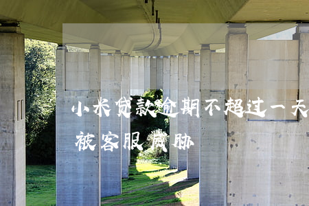 小米贷款逾期不超过一天(小米贷款逾期一天被客服威胁)