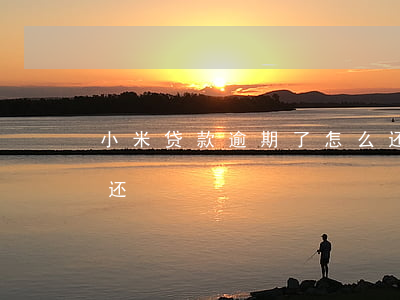 小米贷款逾期了怎么还(小米贷款逾期了怎么还)